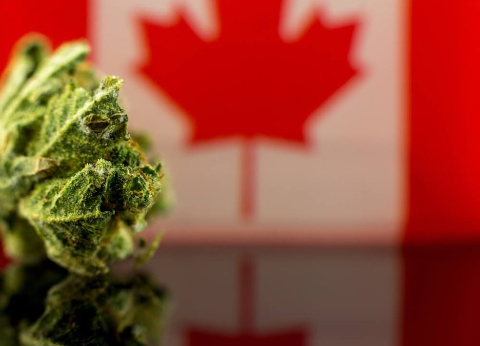Canada’s Cannabis Conundrum – 5 Things Every U.S. Visa Holder Should Know