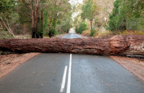 DHS Ends Automatic EAD Extensions for Renewal Applicants